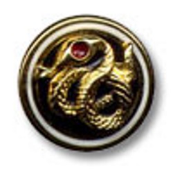 P1-S2-Candidate-Pin